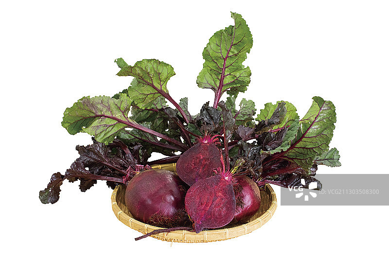 韩国白色背景下的湿叶特写图片素材