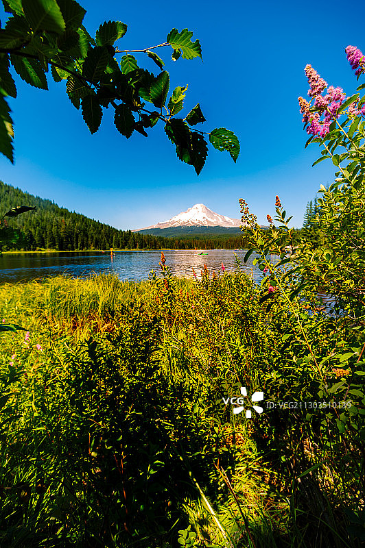 美国俄勒冈州特里利姆湖的湖泊风景图片素材