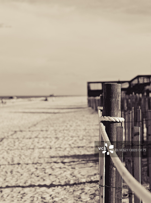 美国米克勒海滩木桩特写图片素材