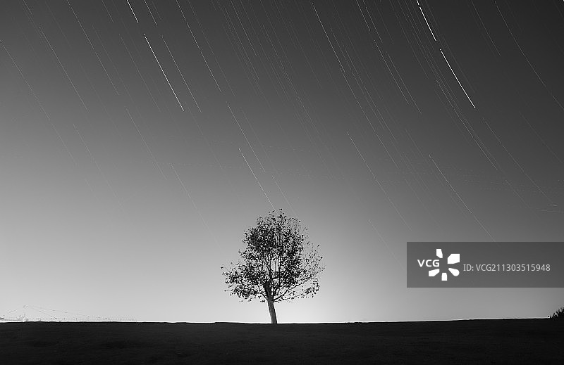 夜空下的田野树木轮廓图片素材
