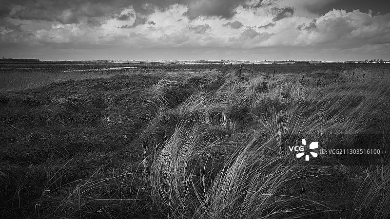 英国的田野风光图片素材