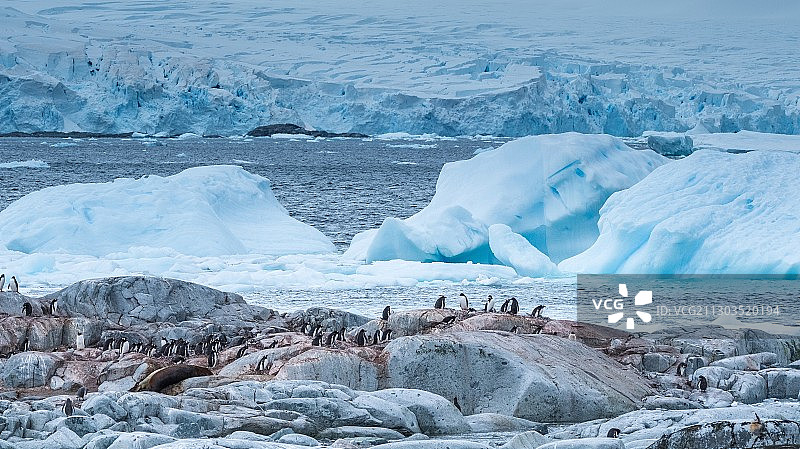 南极洲彼得曼岛冰封海面的壮丽景色图片素材