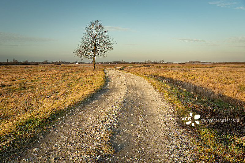 波兰境内的田野与空旷道路图片素材
