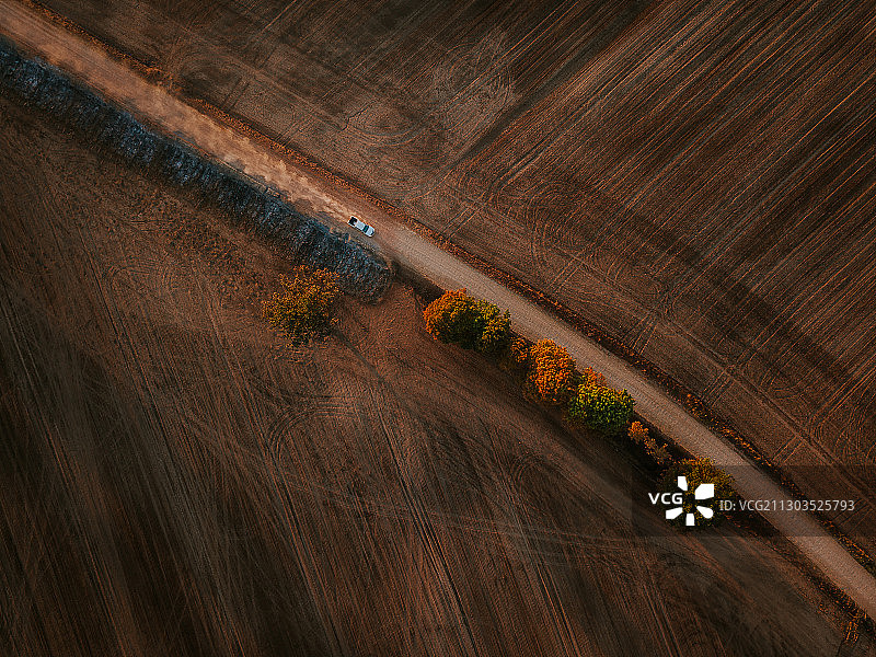 立陶宛阿尔西亚伊农业田地航拍图片素材