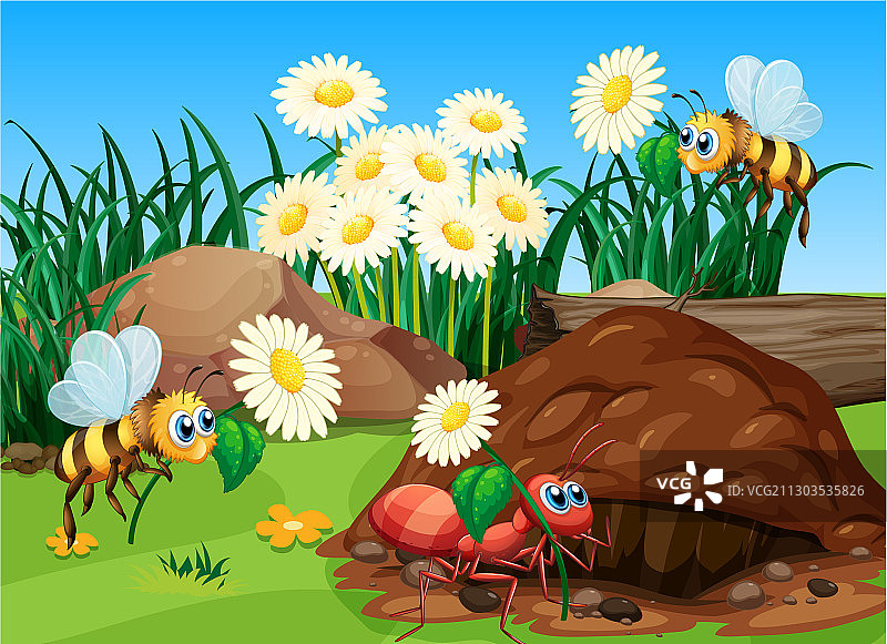 花园里的植物和昆虫场景图片素材