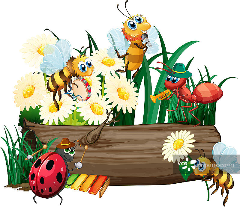 白色背景上的昆虫图片素材