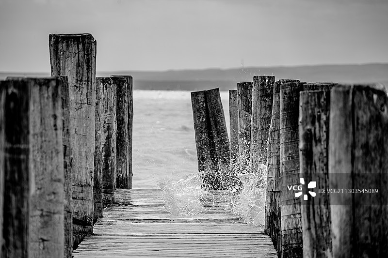 奥地利新锡德尔湖，海中木桩景观图片素材