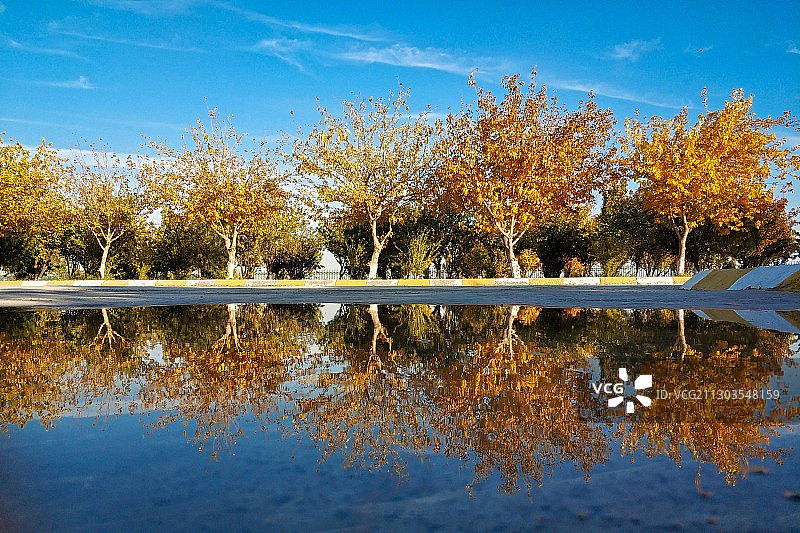 金秋十月，秋高气爽，金黄的树叶倒映在水中，美不胜收。图片素材