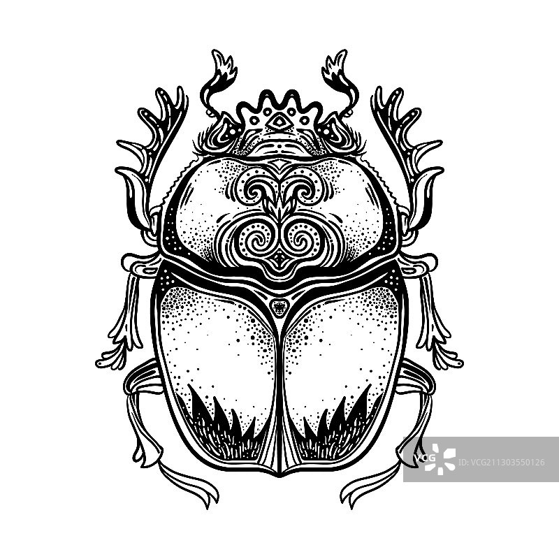 圣甲虫：神圣的蜣螂符号图片素材