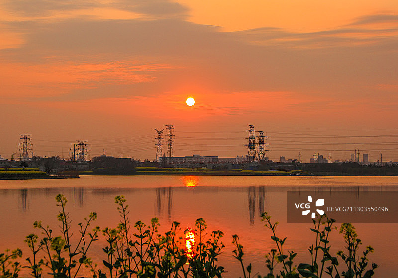凤鸣湖畔菜花黄图片素材