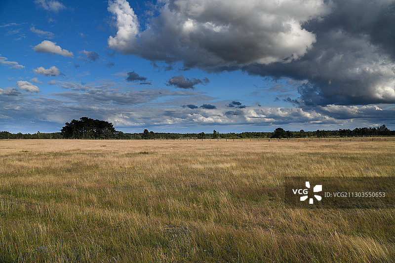 德国施内弗丁根田野风光图片素材