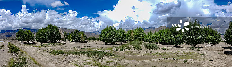 西藏雅鲁藏布江流域：绿洲 防护林 河床图片素材