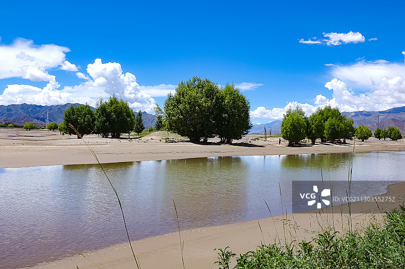 西藏雅鲁藏布江流域：绿洲 防护林 河床图片素材