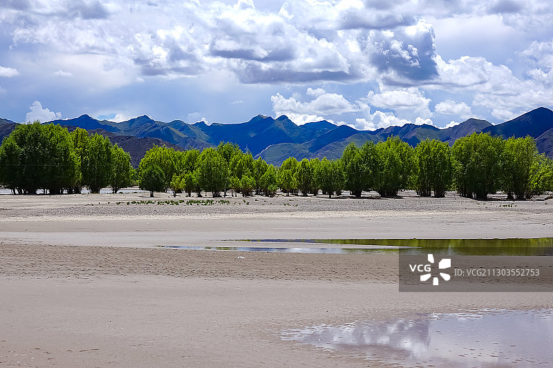 西藏雅鲁藏布江流域：绿洲 防护林 河床图片素材