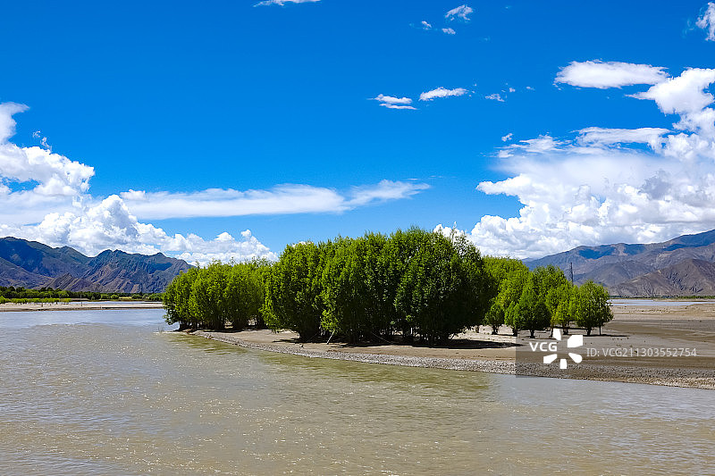 西藏雅鲁藏布江流域：绿洲 防护林 河床图片素材