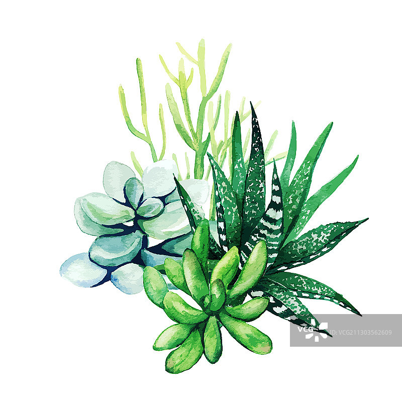 明亮的水彩植物小花束图片素材