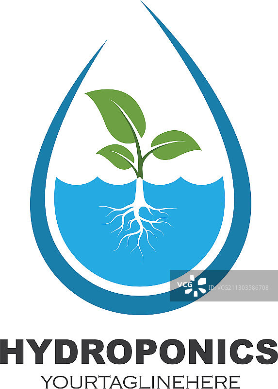 水培蔬菜标志设计图片素材