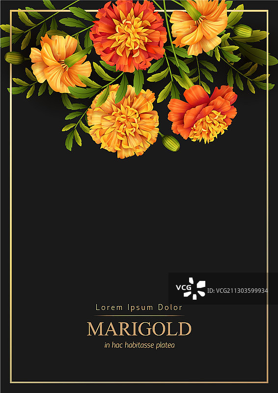 花卉节日背景图片素材