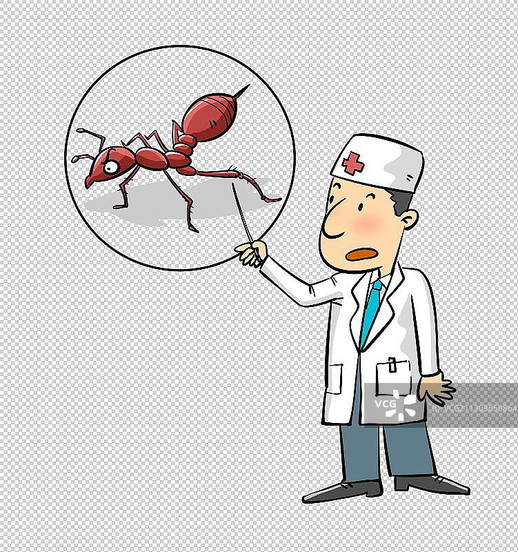 在科普红火蚁的医生图片素材