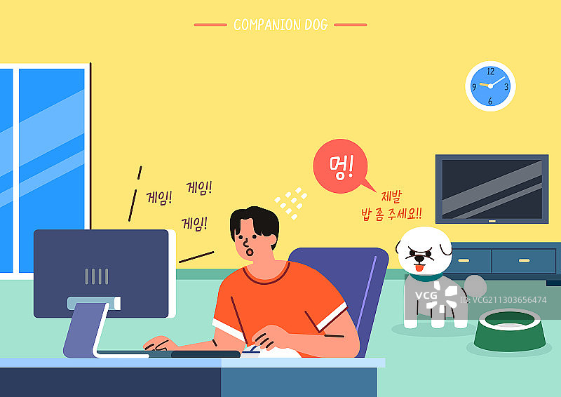 伴侣动物、宠物、虐待动物、忽视、礼仪图片素材