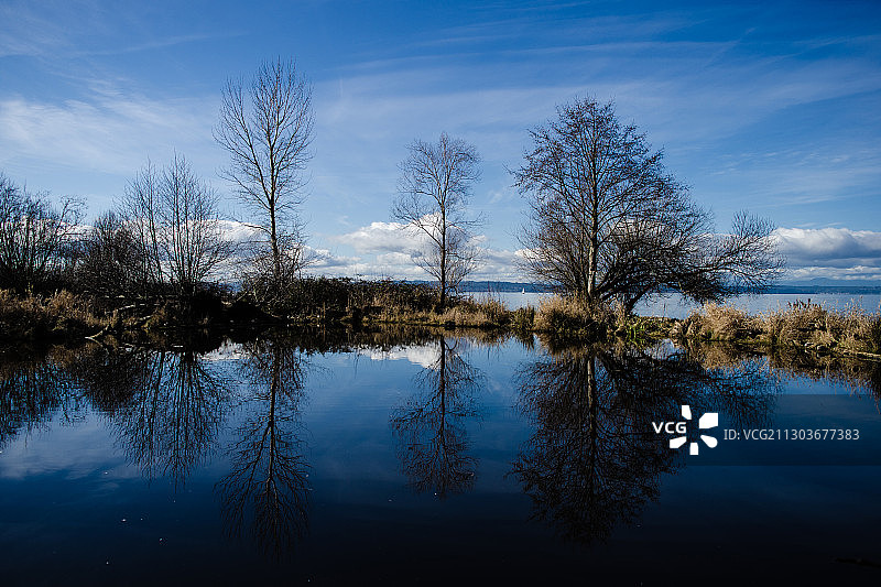 美国金园公园的湖泊与天空的景色图片素材