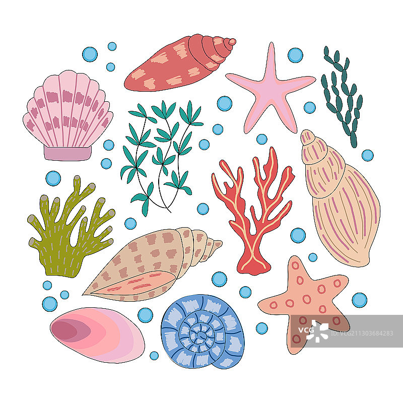 海洋动物和珊瑚素材图片素材