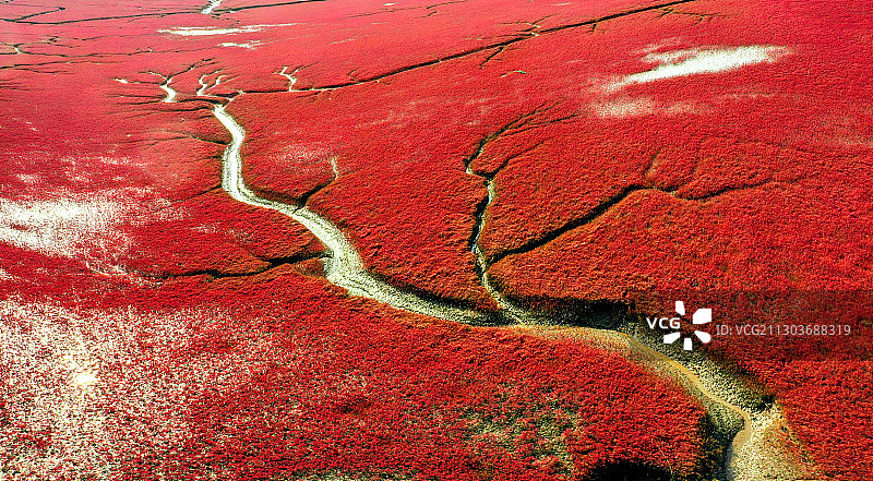 红海滩2图片素材