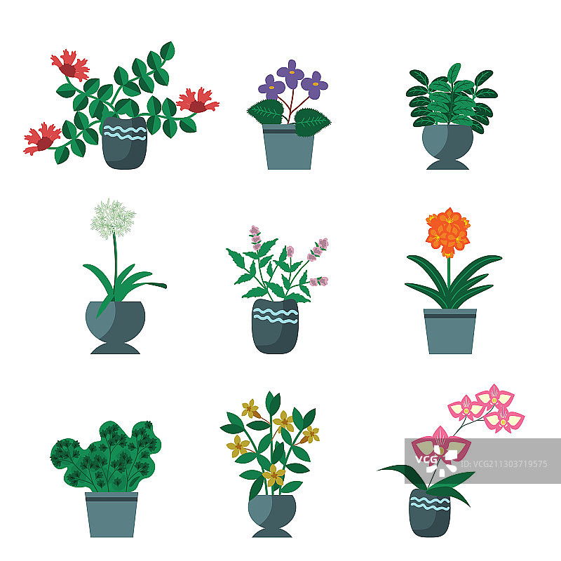 室内盆栽植物合集图片素材