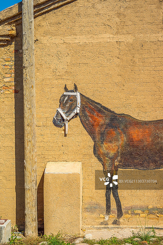 新疆伊犁特克斯县离街商业街风情民居院落图片素材