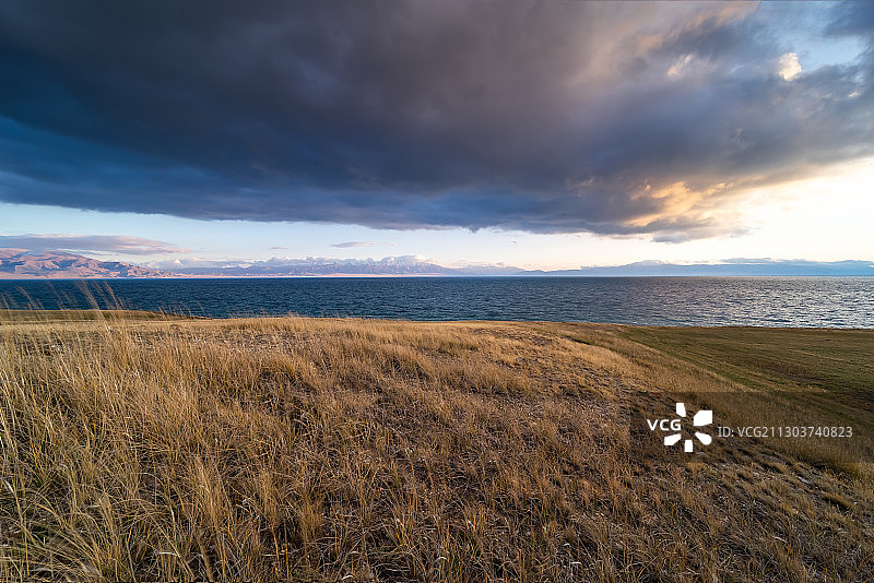 新疆赛里木湖景区草地芦苇湖景日落图片素材