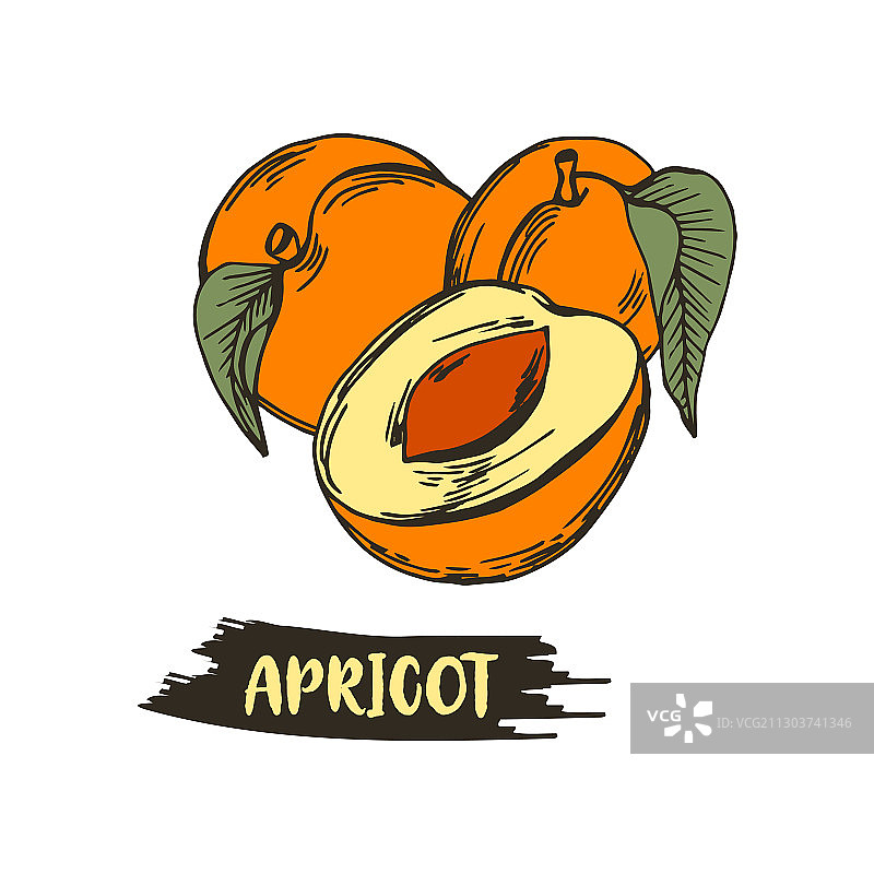 类似于小桃子的杏核果图片素材