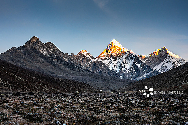 希夏邦马峰日出图片素材