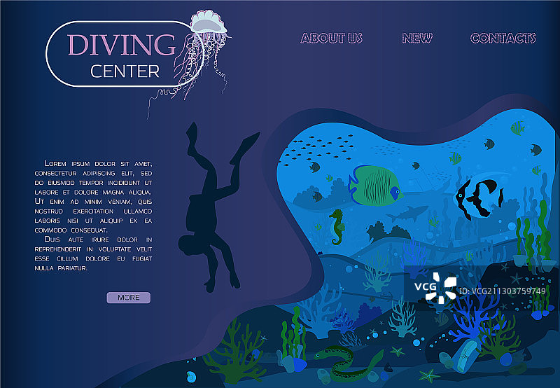 潜水与海洋生物图片素材