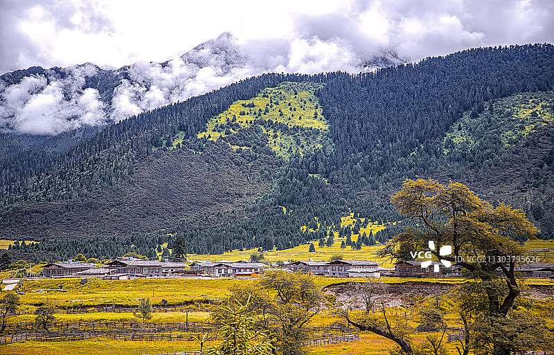 鲁朗小镇图片素材