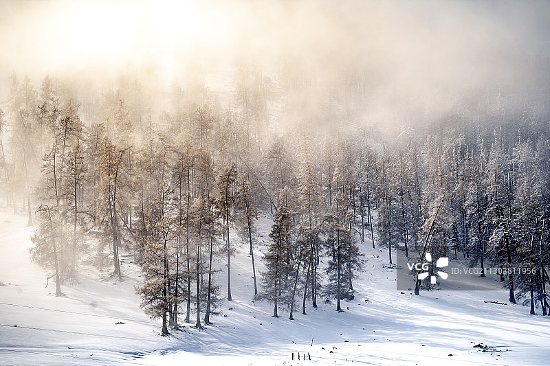 云雾之间图片素材