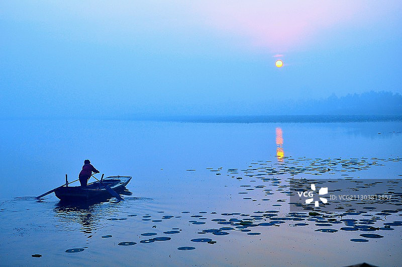 衡水湖上采莲人图片素材