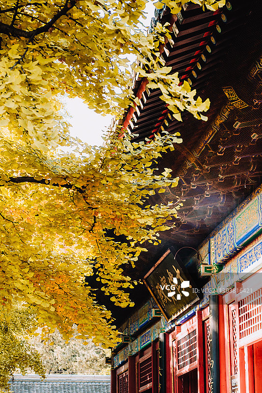 红螺寺图片素材