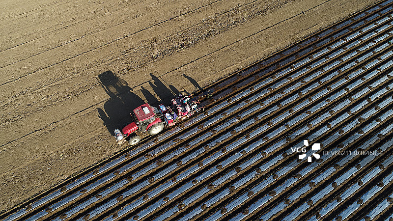 河北滦南胡各庄镇东梁各村农田里播种机在种植地膜覆盖土豆航拍图片素材