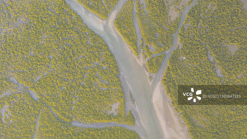 航拍北海金海湾红树林图片素材