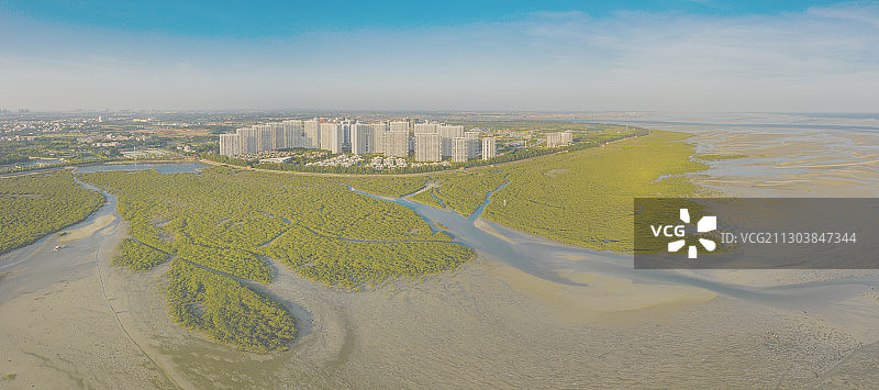 航拍北海金海湾红树林图片素材