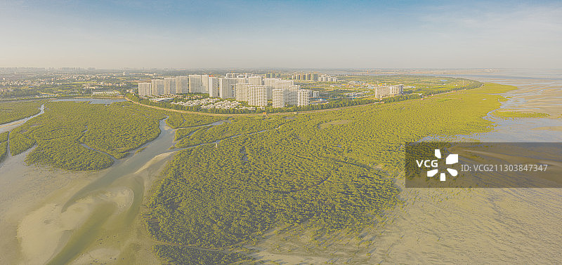 航拍北海金海湾红树林图片素材