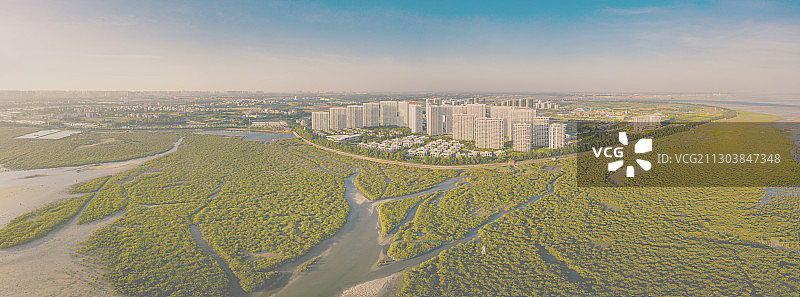 航拍北海金海湾红树林图片素材