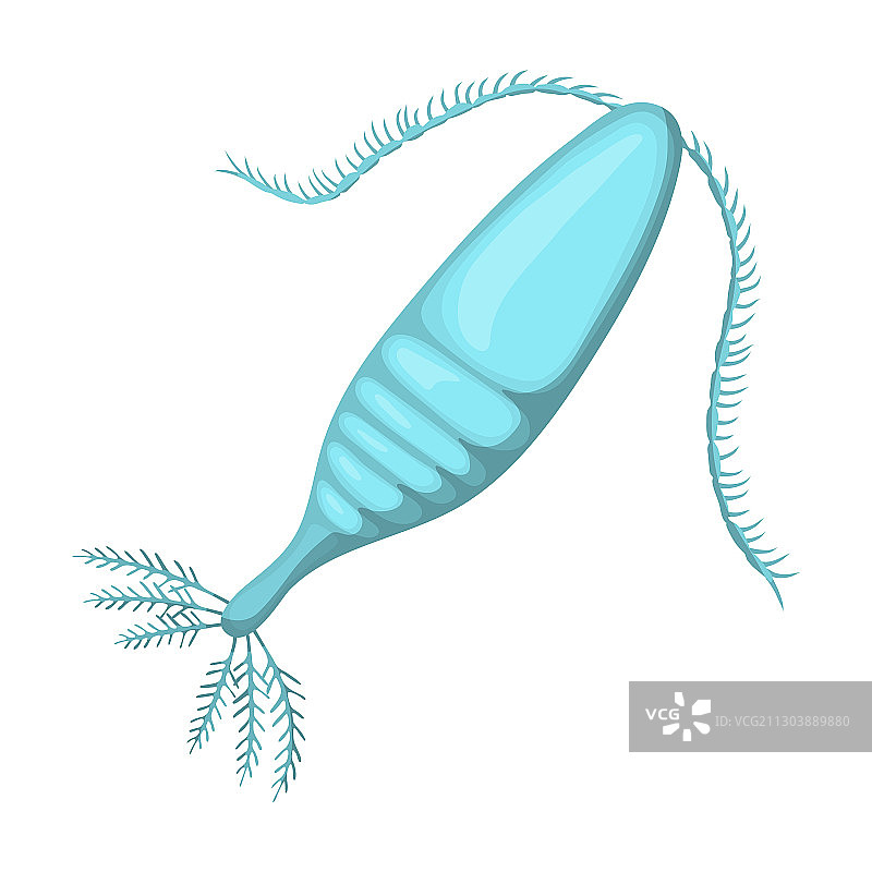 浮游生物卡通图标图片素材
