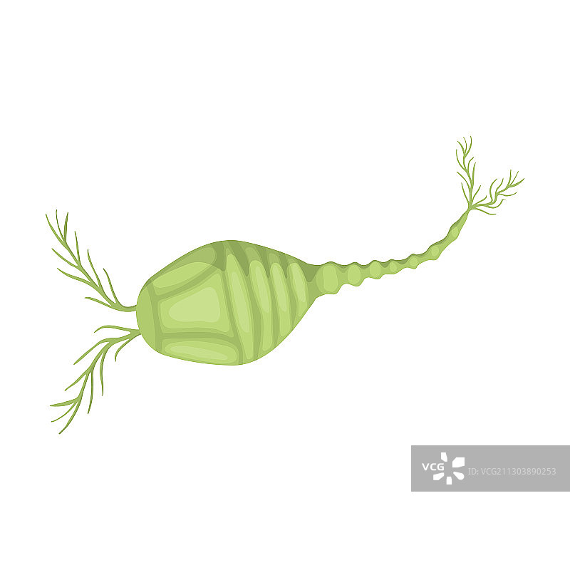 浮游生物卡通图标图片素材