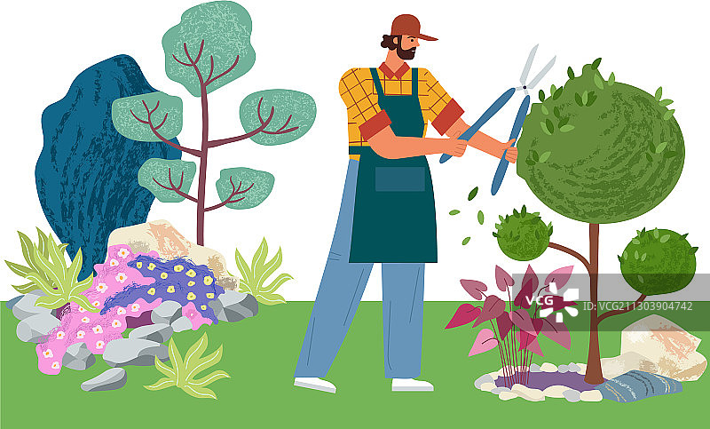 园丁修剪树木和灌木图片素材
