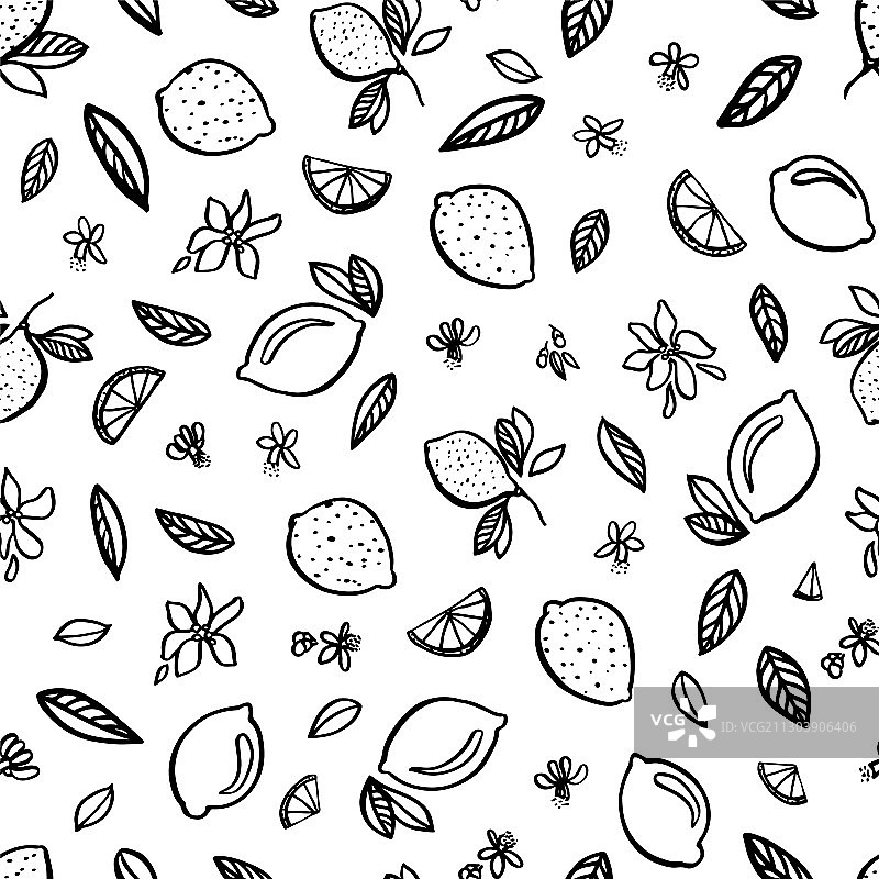 手绘柠檬柑橘现代涂鸦图案图片素材