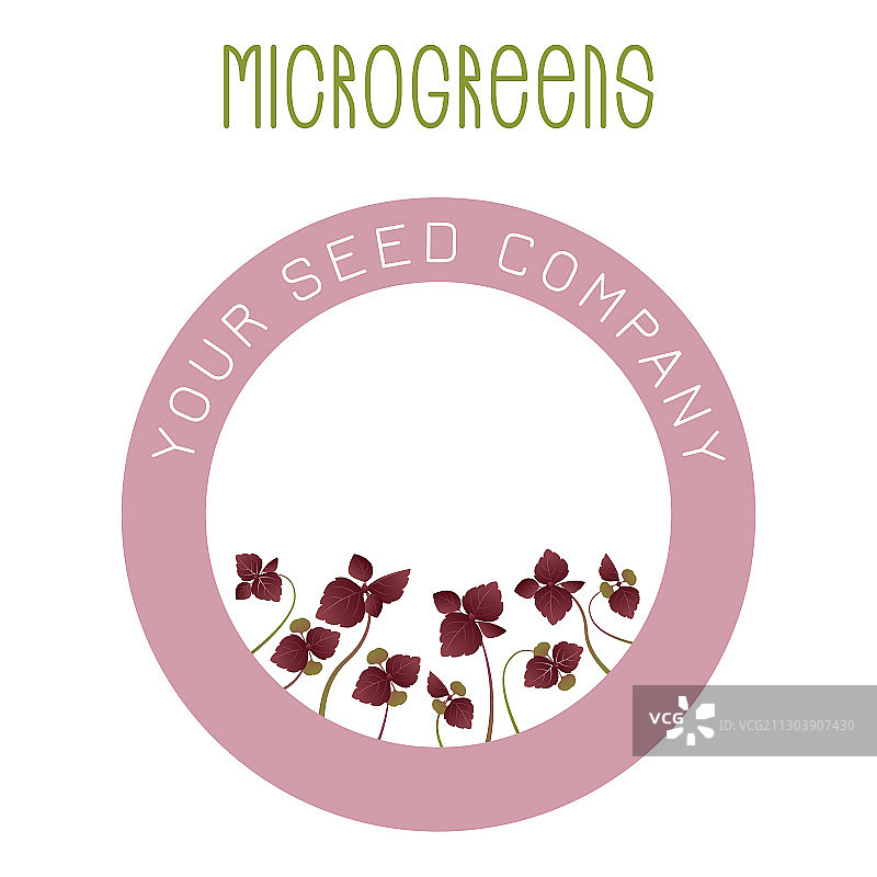 紫苏微型蔬菜种子包装设计图片素材