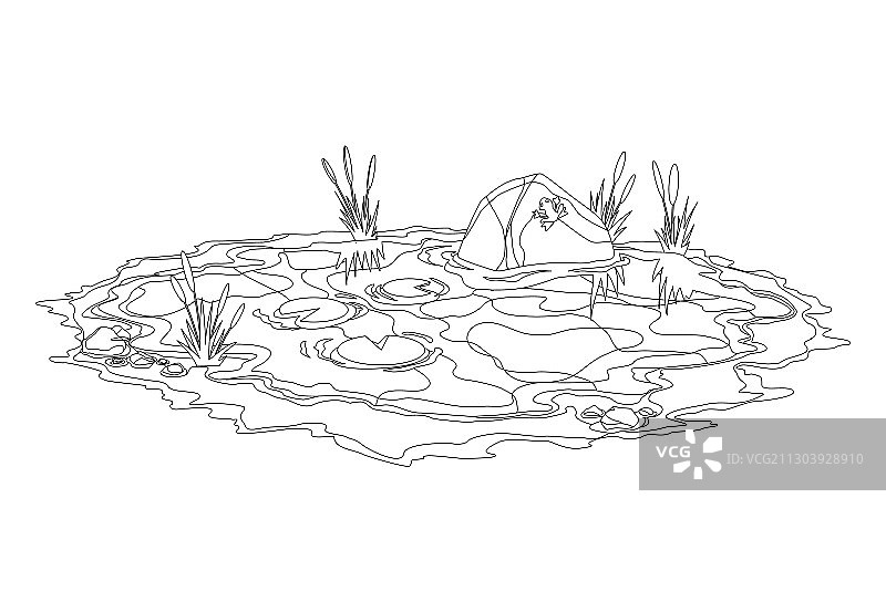 涂色有芦苇石头的池塘图片素材