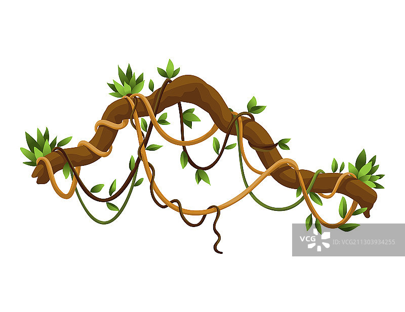 缠绕的丛林藤蔓植物树枝图片素材
