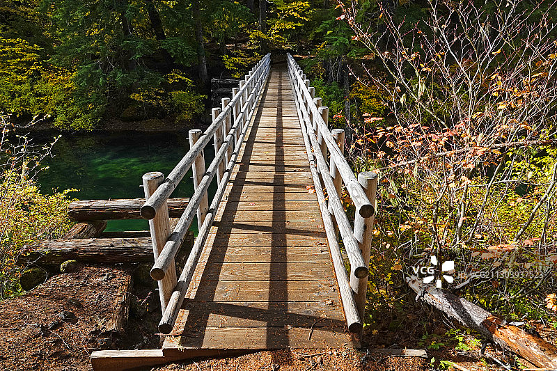麦肯齐河上的步行桥图片素材